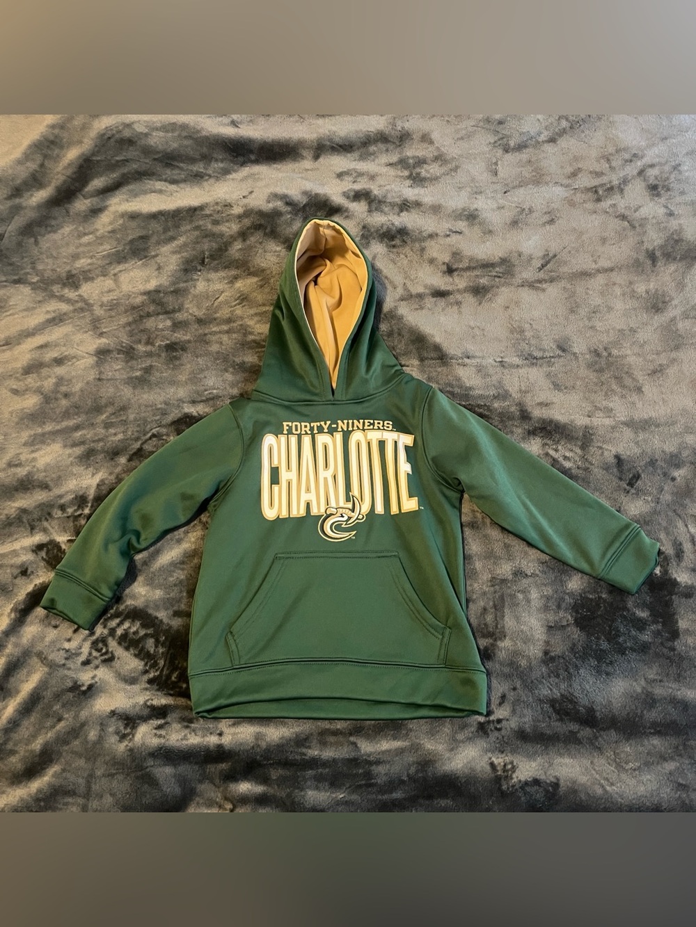 Rivalry Threads Green Charlotte Forty-Niners kids Hoodie XS 4-5